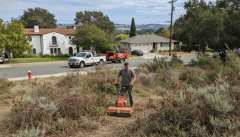 Land Clearing San Leandro